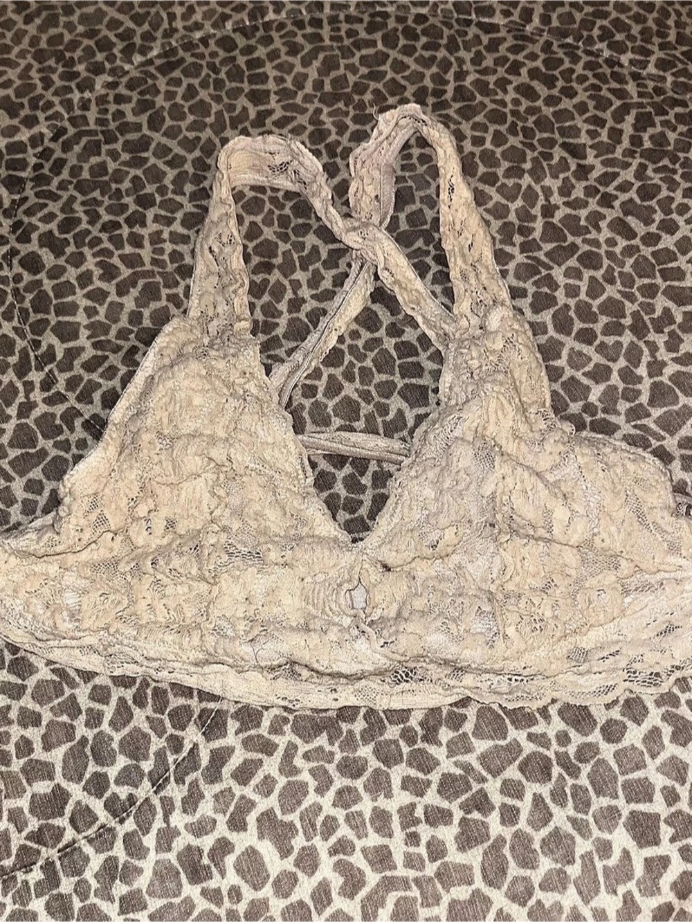 Lace Bralette in Cream